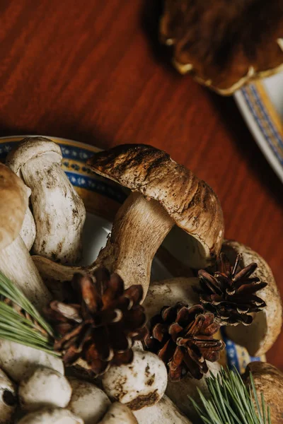 森林静物 美丽的白色蘑菇躺在盘子上 附近是锥体和松树的分支 — 图库照片