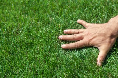 Hand on green grass clipart