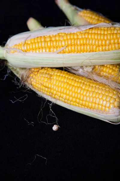 成熟的玉米芯在黑色背景说谎 — 图库照片