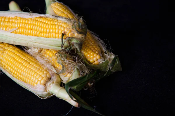 Maiskolben liegen auf schwarzem Hintergrund — Stockfoto