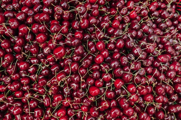 Ripe red sweet cherry lies in even layer — Stock Photo, Image