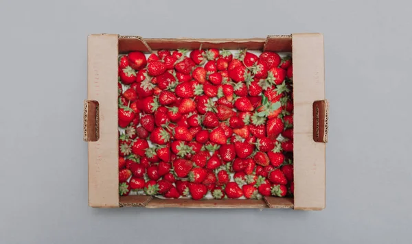 红色成熟的草莓在纸板箱在白色背景 — 图库照片