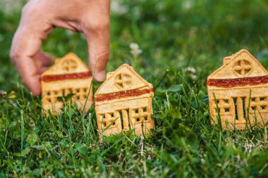 Çerezler küçük ev şeklinde yeşil çimenlerin üzerinde durmak