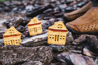 Ağaç kabuğu üzerinde çerez duruyor bisküvi şeklinde