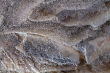 Dondurulmuş balık dokusu