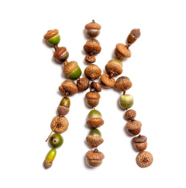 Sonbahar alfabesi. Mektup meşe palamutları dışarı atılır