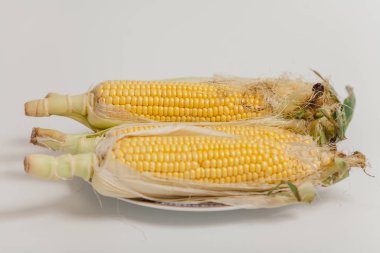 Olgun mısır koçanı plaka üzerinde yalan