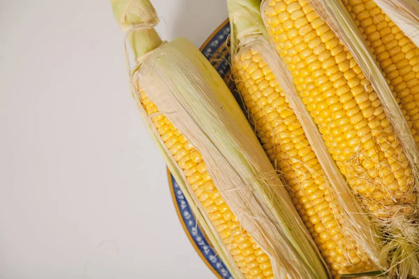 Cobs of ripe corn lie on  plate — Stock Photo, Image