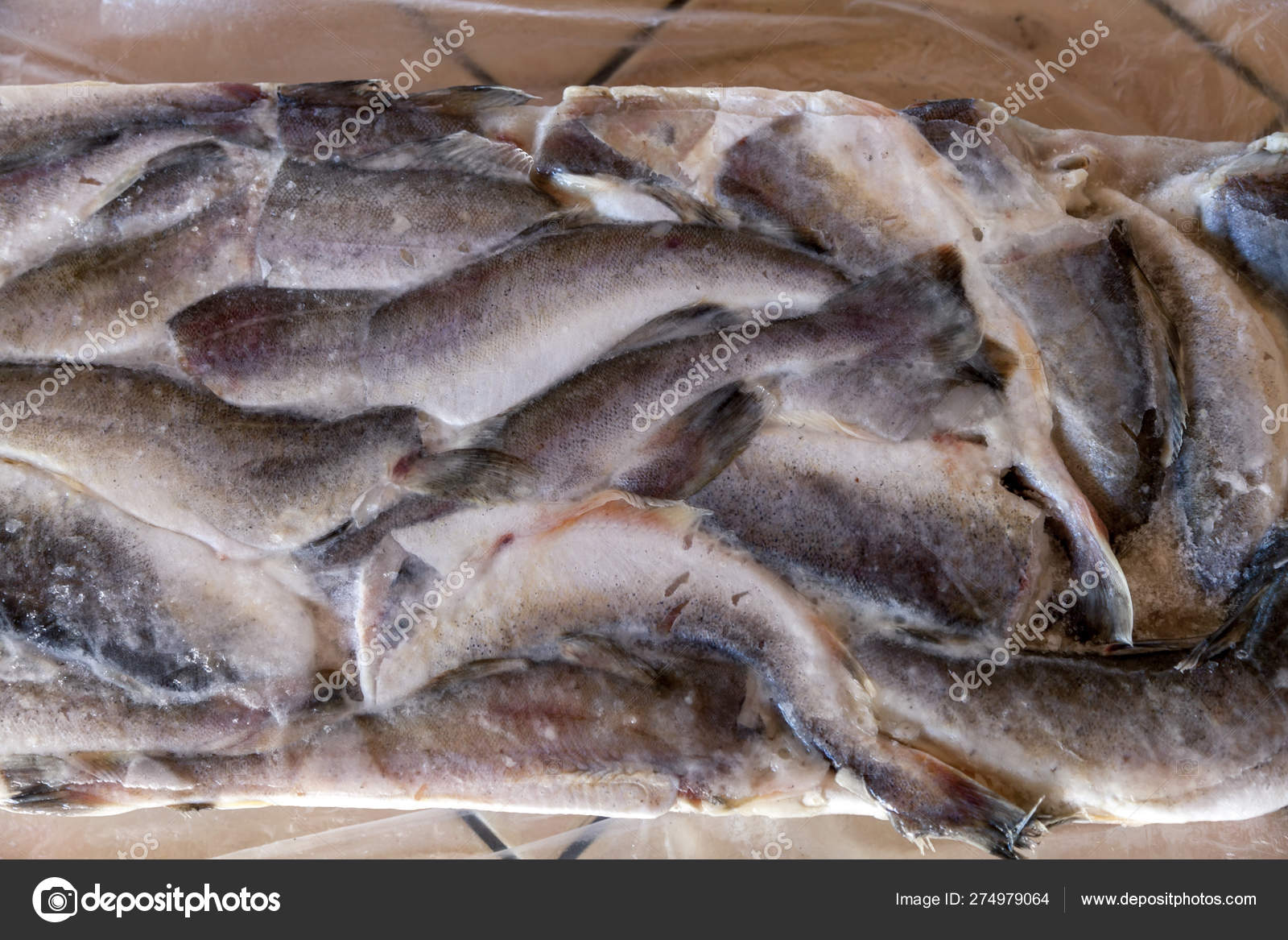 Pescado congelado fotos de stock, imágenes de Pescado congelado sin  royalties