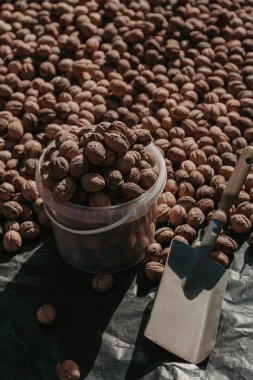 Ceviz ve spatula siyah arka plan üzerinde yalan