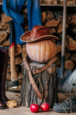 Sonbahar ruh hali. Kabak, stump, verandada aracı, ahşap, şapka