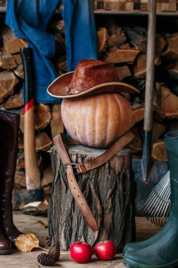 Sonbahar natürmortu. Kabak, kütük, alet, ahşap, şapka, veranda