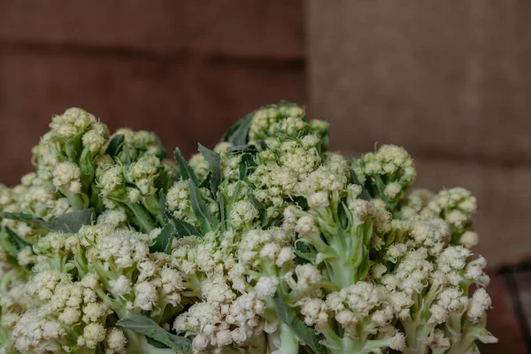 Cauliflower lies on planed boards