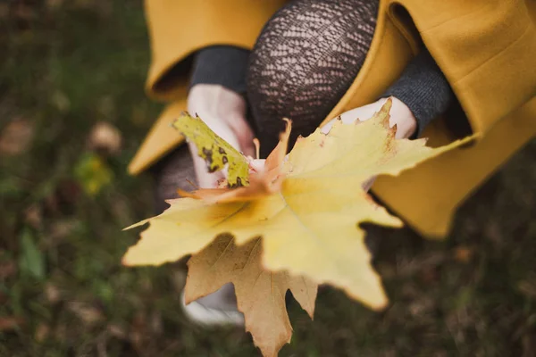 Female thin hands hold large fallen maple leaf — Stock Photo, Image