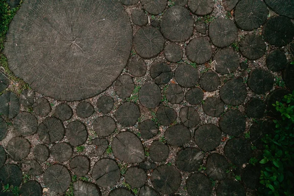 Pad van gesneden ronde bomen — Stockfoto