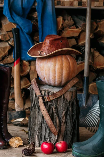 Sonbahar natürmortu. Kabak, kütük, alet, ahşap, şapka, veranda