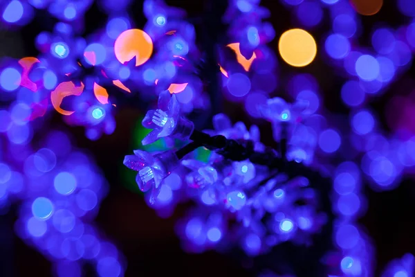 Decorative electrics tree bulbs blue flowers shines at night — Stock Photo, Image