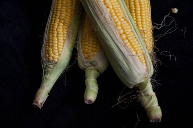 Olgun mısır koçanı siyah arka plan üzerine yalan