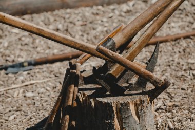 eksengrubu eski kütük içinde dışarı sopa