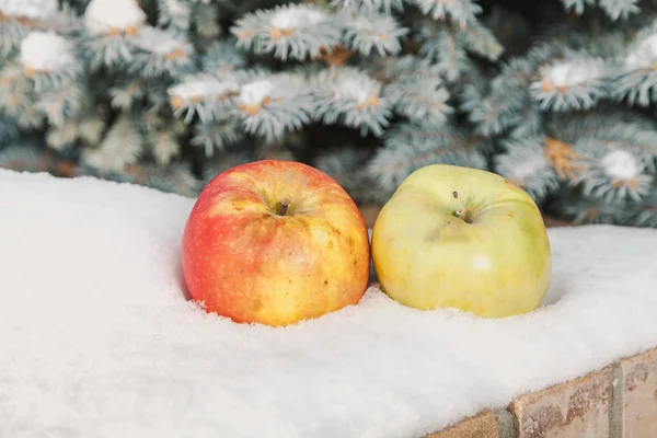 Two ripe apples lie on snow under tree — Stock Photo, Image