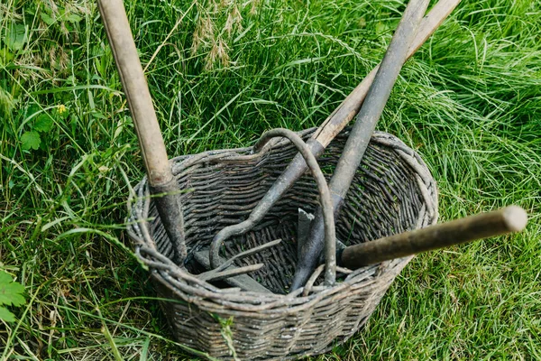 Herramientas de jardín en canasta de mimbre sobre hierba —  Fotos de Stock