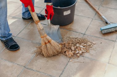 Eller süpürme ve toz Pan ile düşmüş çam iğneler toplamak