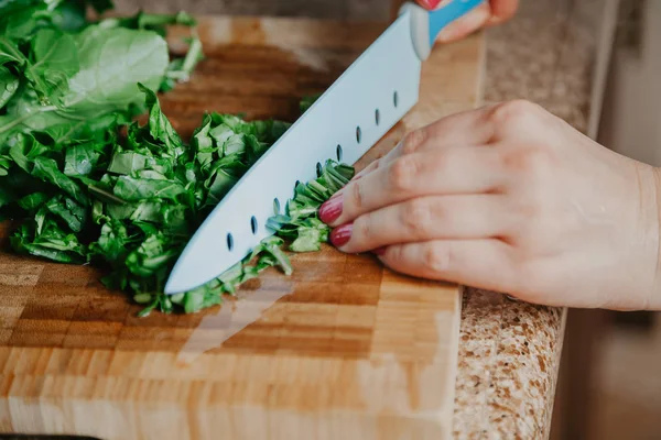 Woman hands are cutting  green leaves of arugula — Stock Photo, Image