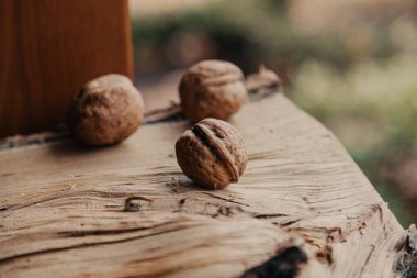 Ahşap kütük üzerinde ceviz yakın çekim