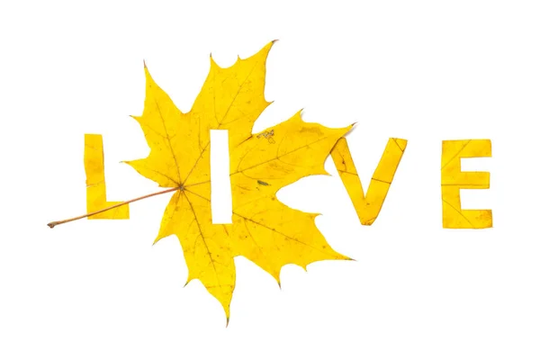 Live. Letters gesneden uit wig bladeren — Stockfoto