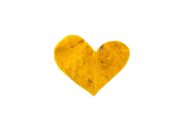O símbolo de coração é esculpido da folha de bordo amarela — Fotografia de Stock