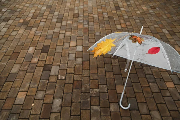 Paraguas transparente se encuentra en baldosas de piedra del bulevar — Foto de Stock
