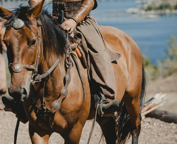 Казак в штанах сидит на коне — стоковое фото