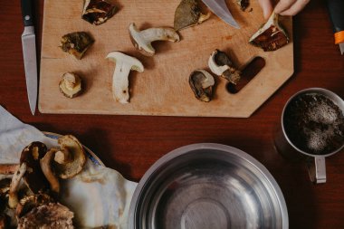 Sofra mantarı toplayıcısı. Dilimlenmiş mantar ve bıçak üzerinde  