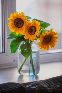 Sarı ayçiçeği buketi pencere üzerinde