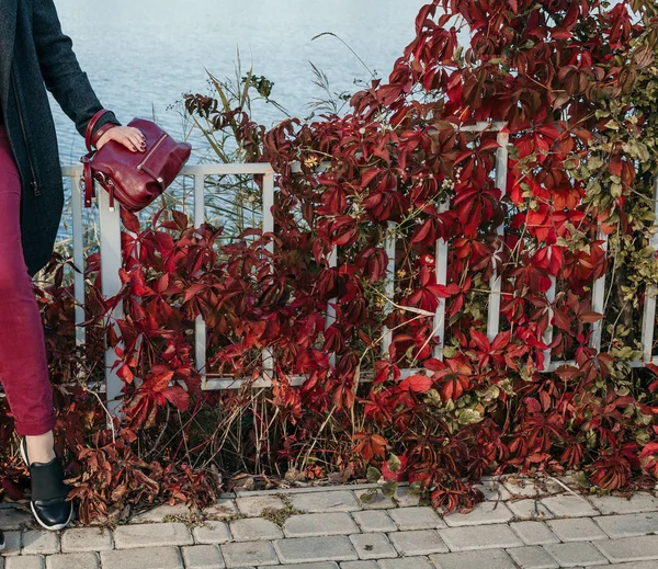 Red trousers and red leaves of plants — Stock Photo, Image