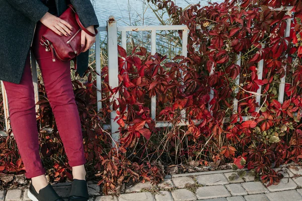 Red trousers and red leaves of plants — Stock Photo, Image