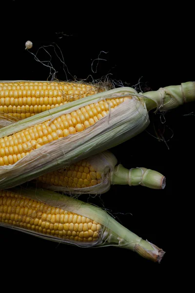 Cobs of ripe corn lie on black background — Stock Photo, Image