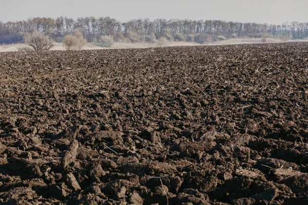 Field of plowed black land in autumn day