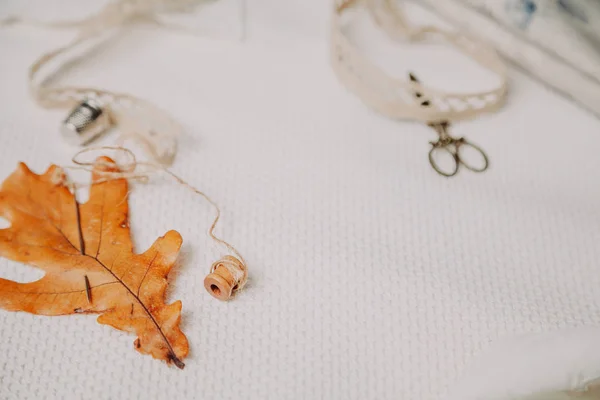 Geel blad van eiken en naald liggen op witte doek — Stockfoto