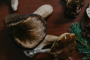 Ceps kahverengi yüzey üzerinde yalan. Yukarıdan görüntüle