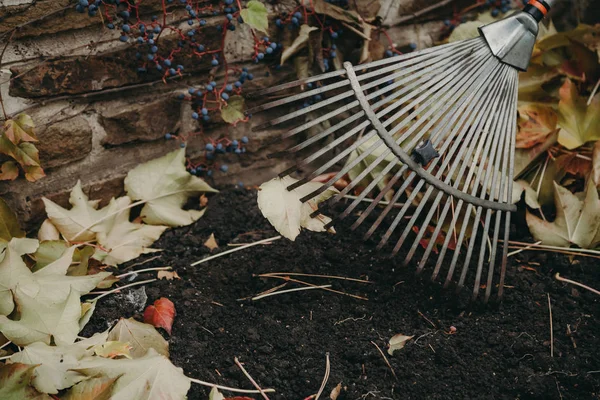 Aço rake ventilador coletar caído folhas de outono close-up — Fotografia de Stock
