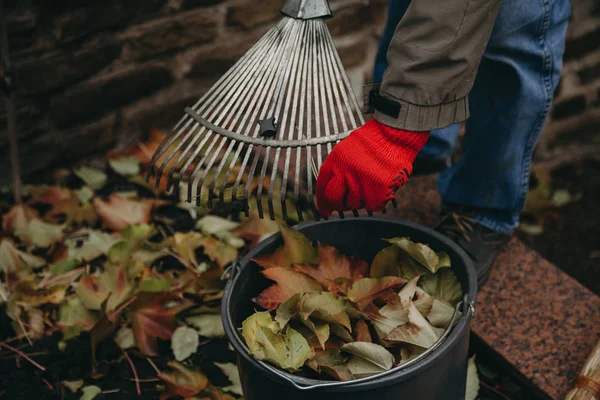 Tangan membebaskan kipas menyapu dari daun jatuh — Stok Foto