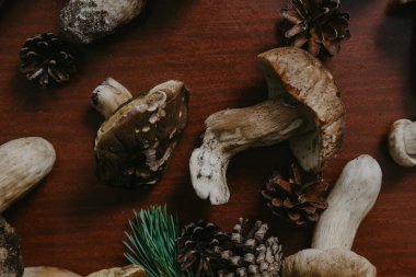 Ceps kahverengi yüzey üzerinde yalan. Yukarıdan görüntüle