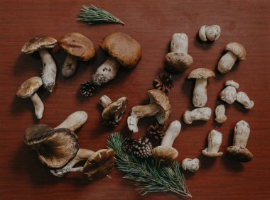 Ceps kahverengi yüzey üzerinde yalan. Yukarıdan görüntüle