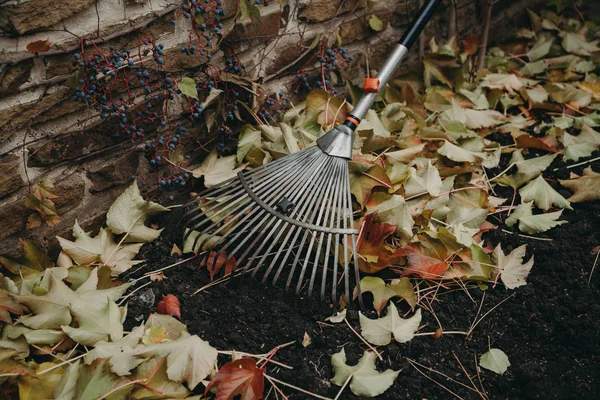 Aço rake ventilador coletar caído folhas de outono close-up — Fotografia de Stock