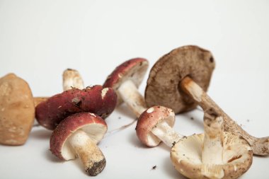 Beyaz arka planda yenilebilir mantar grubu