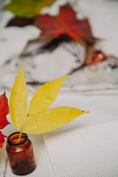 Hoja amarilla de árbol se encuentra en un frasco pequeño sobre tela blanca — Foto de Stock