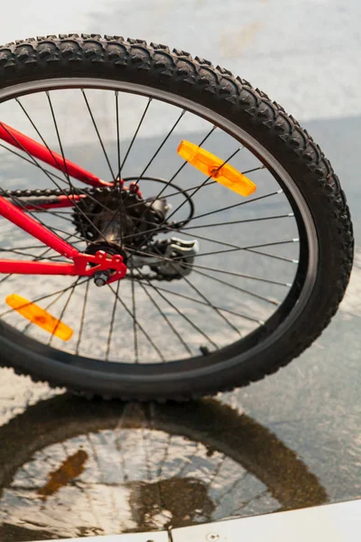 Roda de bicicleta em granito molhado de perto — Fotografia de Stock