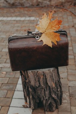 Deri çanta kütüğün üzerinde duruyor. Üstünde akçaağaç yaprağı var.