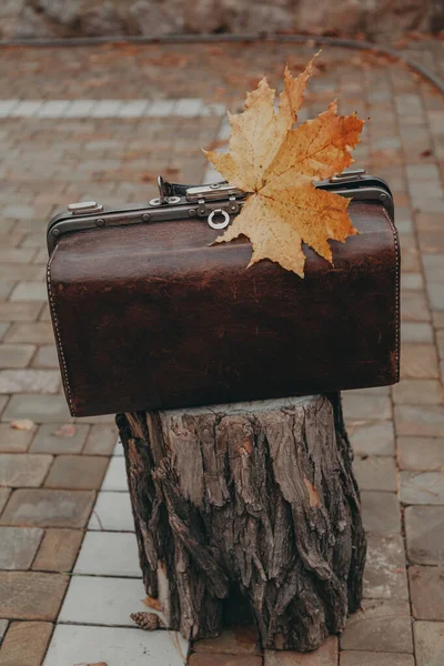 Deri çanta kütüğün üzerinde duruyor. Üstünde akçaağaç yaprağı var.